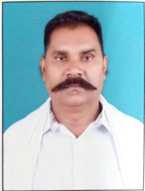 विद्याशंकर भारद्वाज