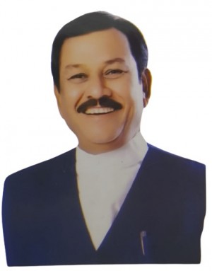 विजय बघेल (सांसद)