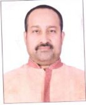 विनय बिहारी