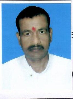 विश्वनाथ प्रसाद