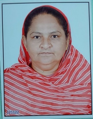 यास्मीनबेन दिलावरभाई मालेक