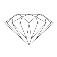 National Future Party