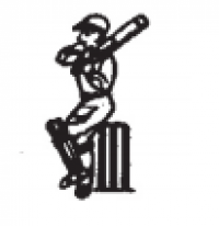 Public Mission Party